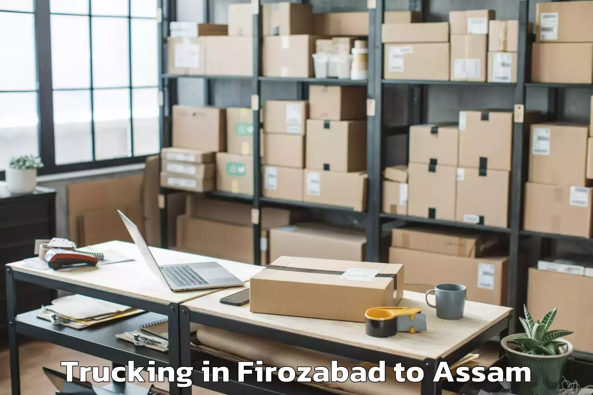 Firozabad to Silapathar Trucking Booking